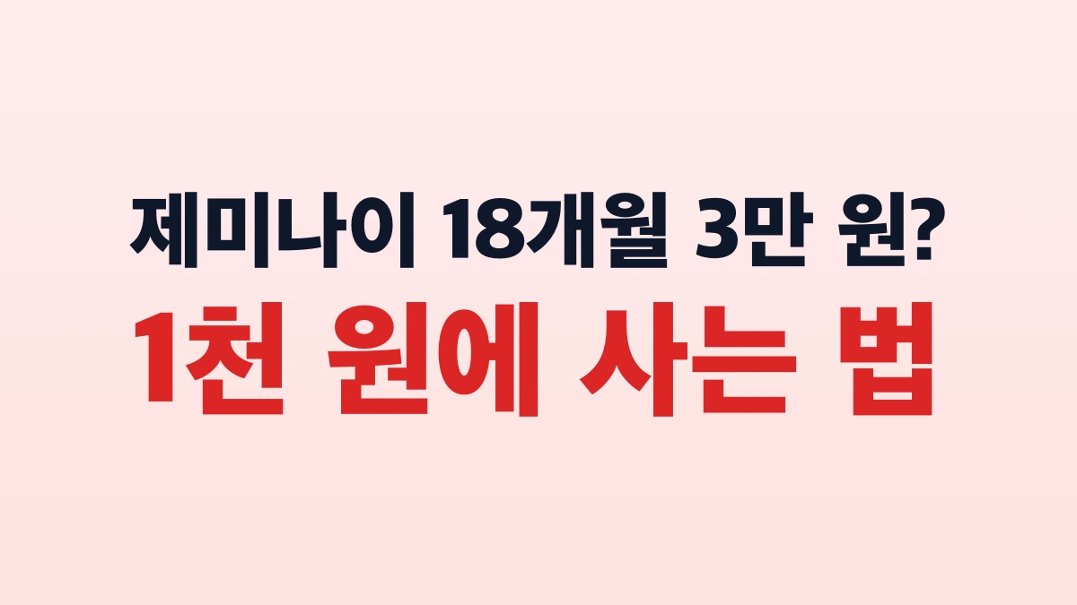 제미나이 18개월 1천원대 최저가 구매 방법 총정리 (G2G·타오바오·번개장터)